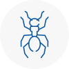 Ant Removals In Torquay