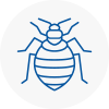Bed Bug Extermination In Torquay