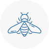 Bee Nest Removal Torquay